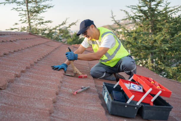 Best Flat Roof Repair Services  in Sleepy Hollow, IL