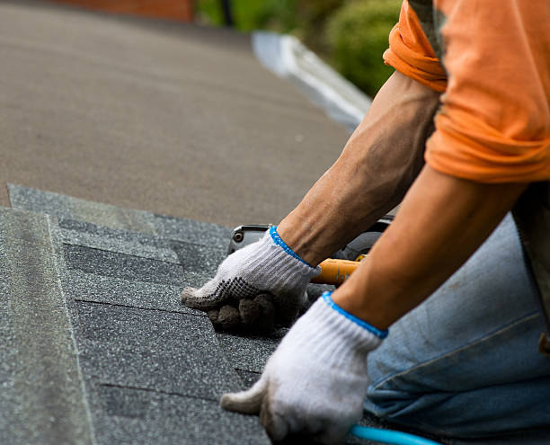 Best Roof Gutter Cleaning  in Sleepy Hollow, IL