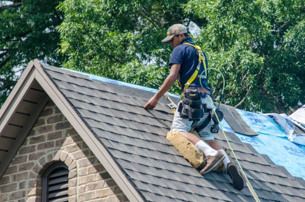 Best Shingle Roofing Installation  in Sleepy Hollow, IL